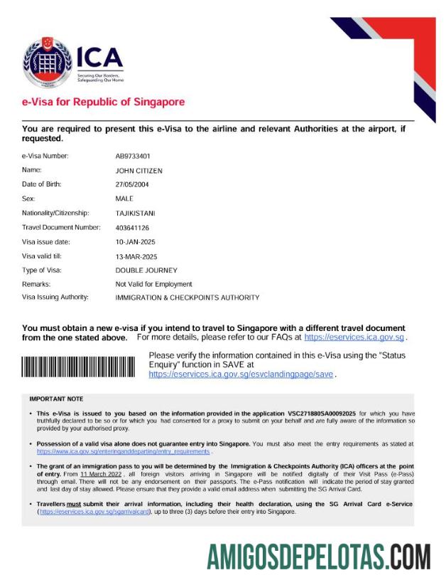 realista Modelo de visto Singapura E em formatos Word e PDF, versão 2